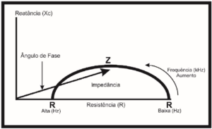 avaliacao corporal por bioimpedancia reatancia resistencia
